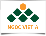 Thiết kế web Quảng Nam